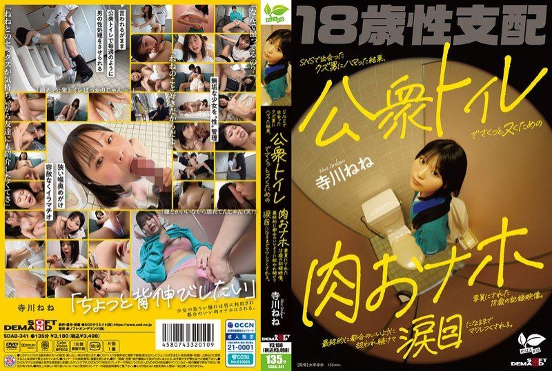 迷恋在社交网站上认识的渣男，最终成为他用来在公共厕所里轻松解决性需求的肉体工具的18岁记录影片 SDAB-341